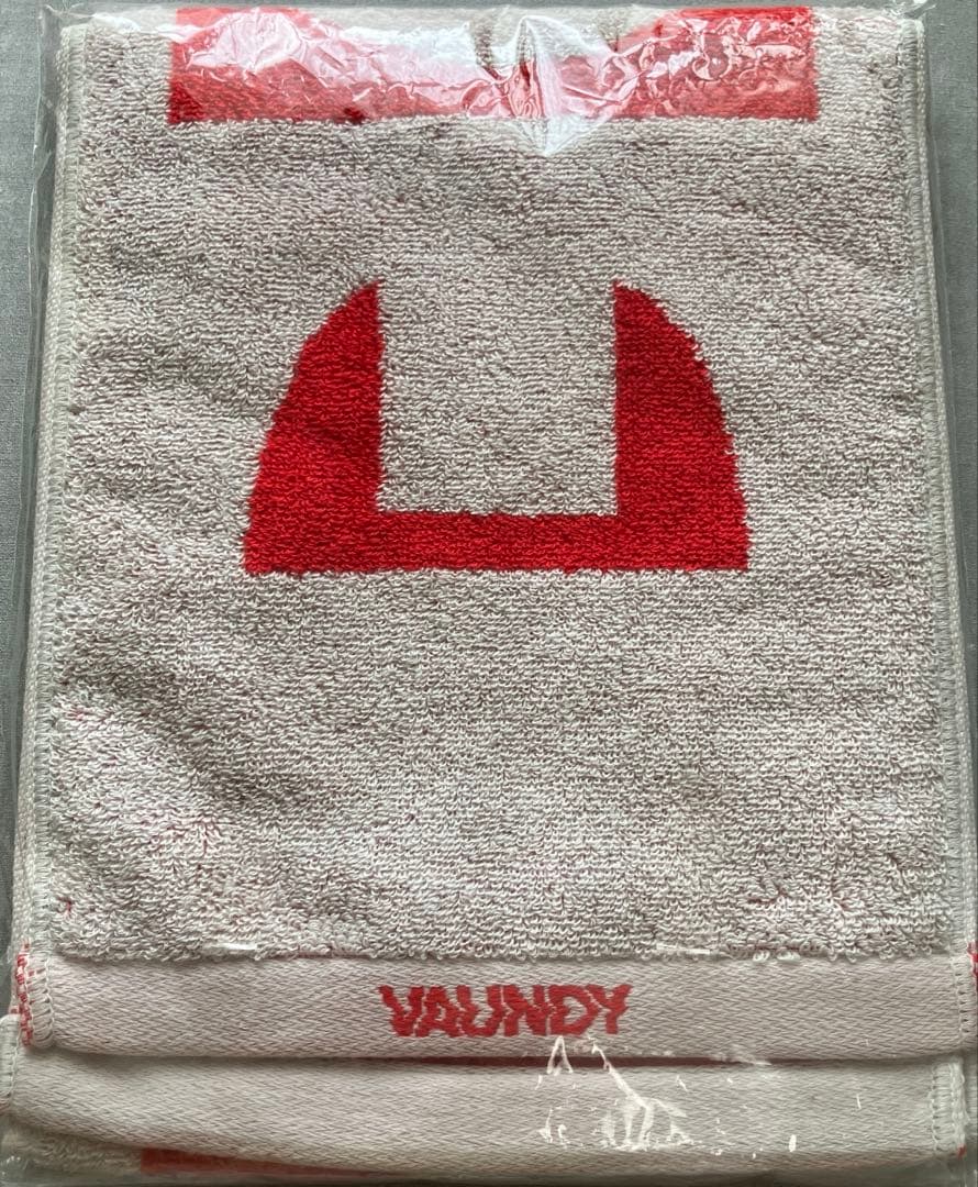 【未開封】VAUNDY ロゴジャガードタオル