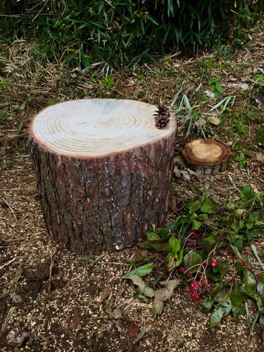 天然赤松【大きな切り株/丸太/アウトドア椅子/薪割り台】表面サンダー仕上げ 楽天市場】薪割り台 ナラ Φ30cm×高さ約10cm 切り株 薪割りの必需品 高