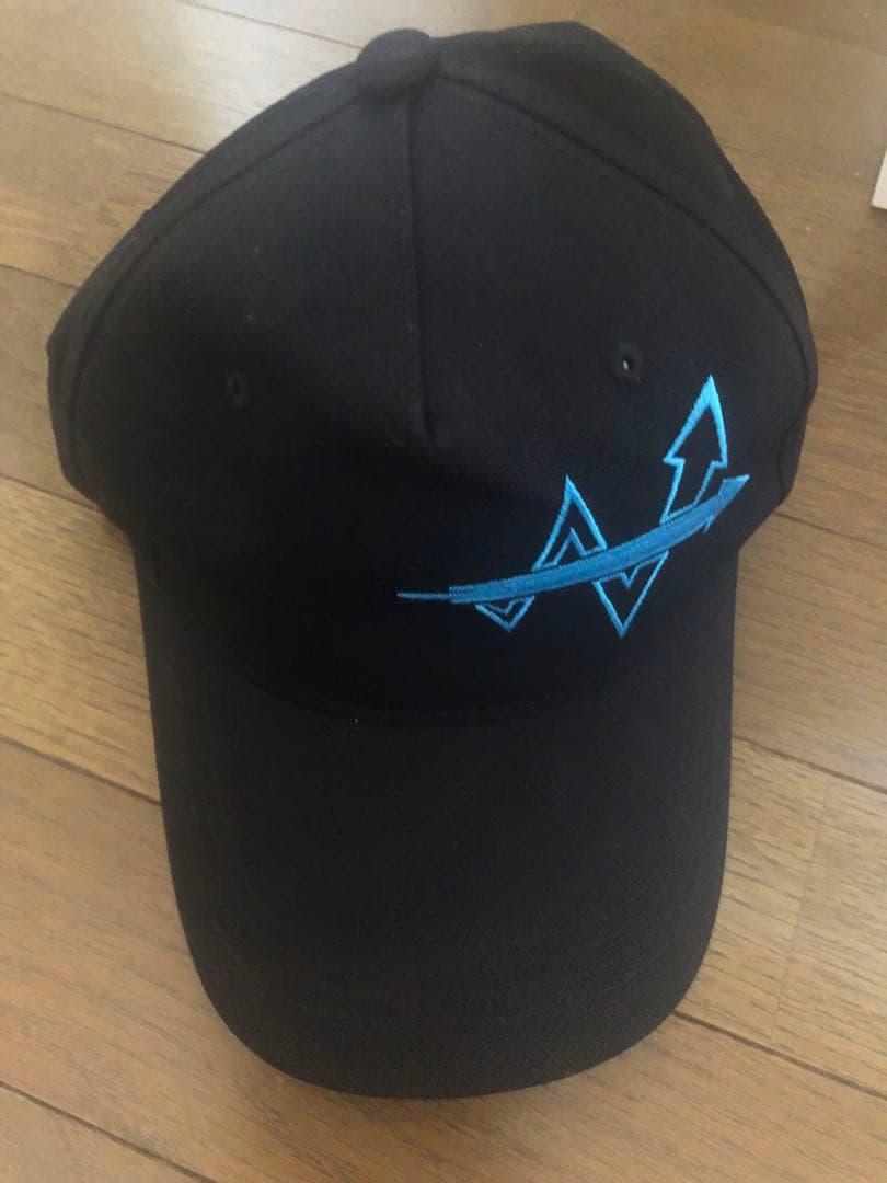 ライブラリー オブ ルイナ library of ruina W社 帽子 - メルカリ