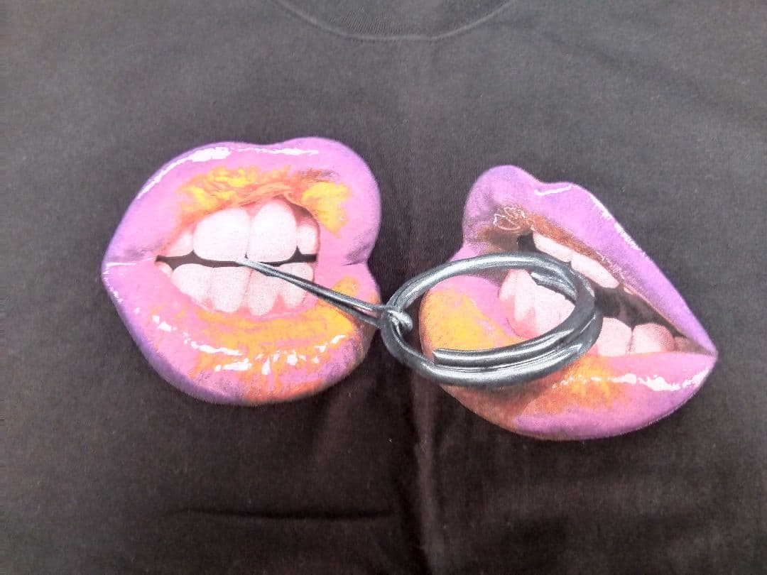 Stereophonics ステレオフォニックス アーティストシャツ Tシャツ