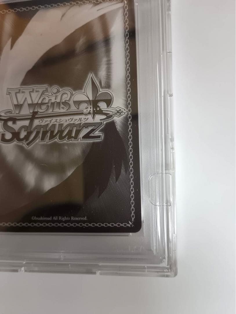 身捧ぐ慈愛 メイプル SEC PSA10 サイン入り