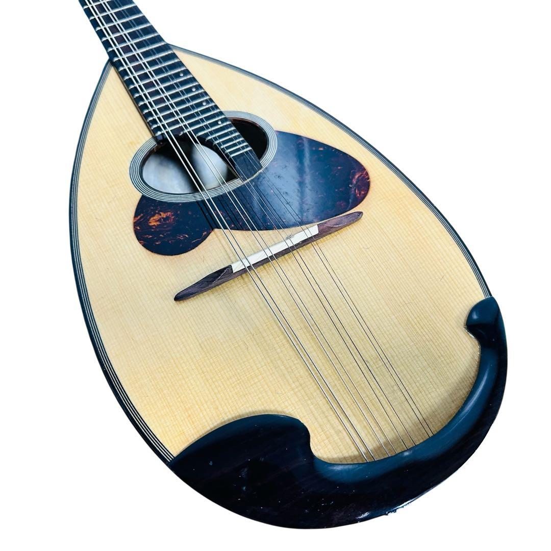 Venezia マンドリン M-30 石川捷二郎 ハードケース付 - メルカリ