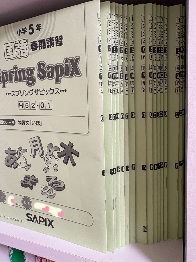 SAPIX 5年国語 平常授業と季節講座テキスト ディリーチェックプリント