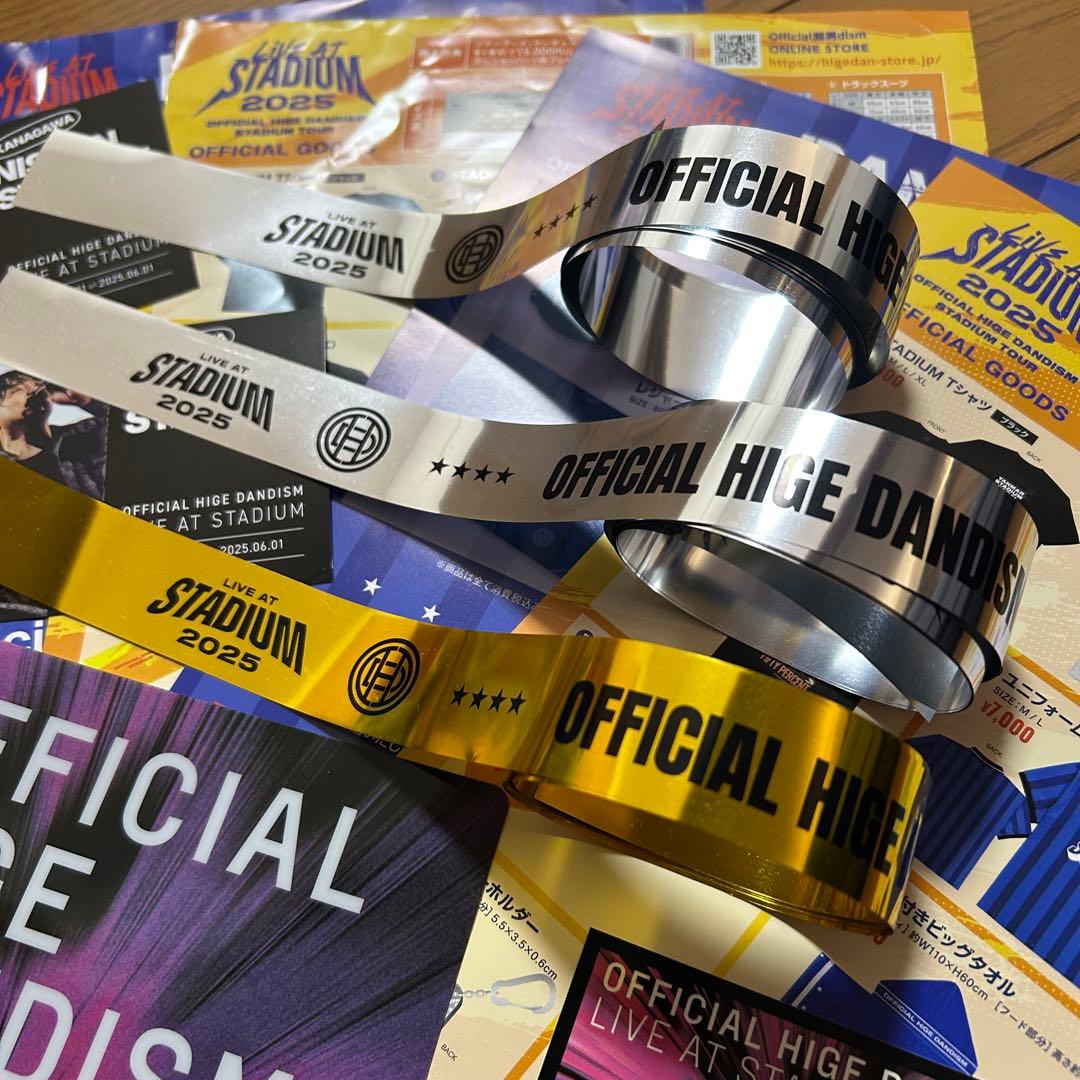 Official髭男dism スタジアムライブメモリアルチケット クリアファイル