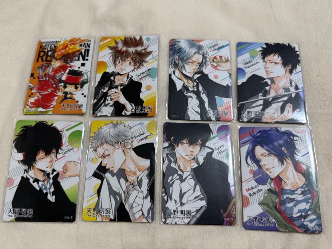 【さやか様】家庭教師ヒットマンREBORN! マグネットステッカー 全種セット