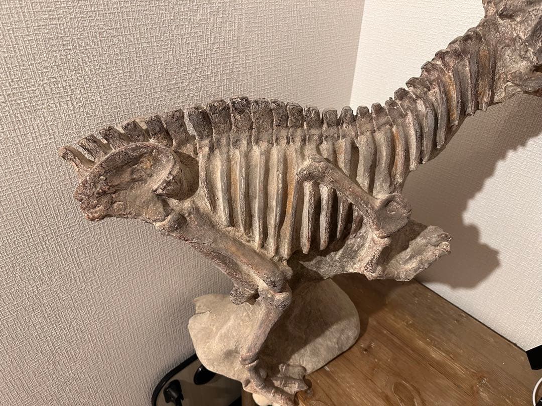 COVENT GARDEN 恐竜の大型骨格オブジェ　約80cm グレー 石膏製？