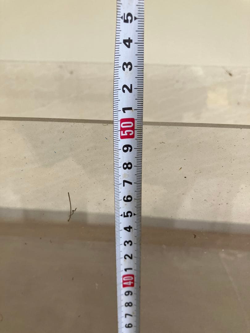 最終値❗️清掃済みアクリル　ケース　大型　水槽