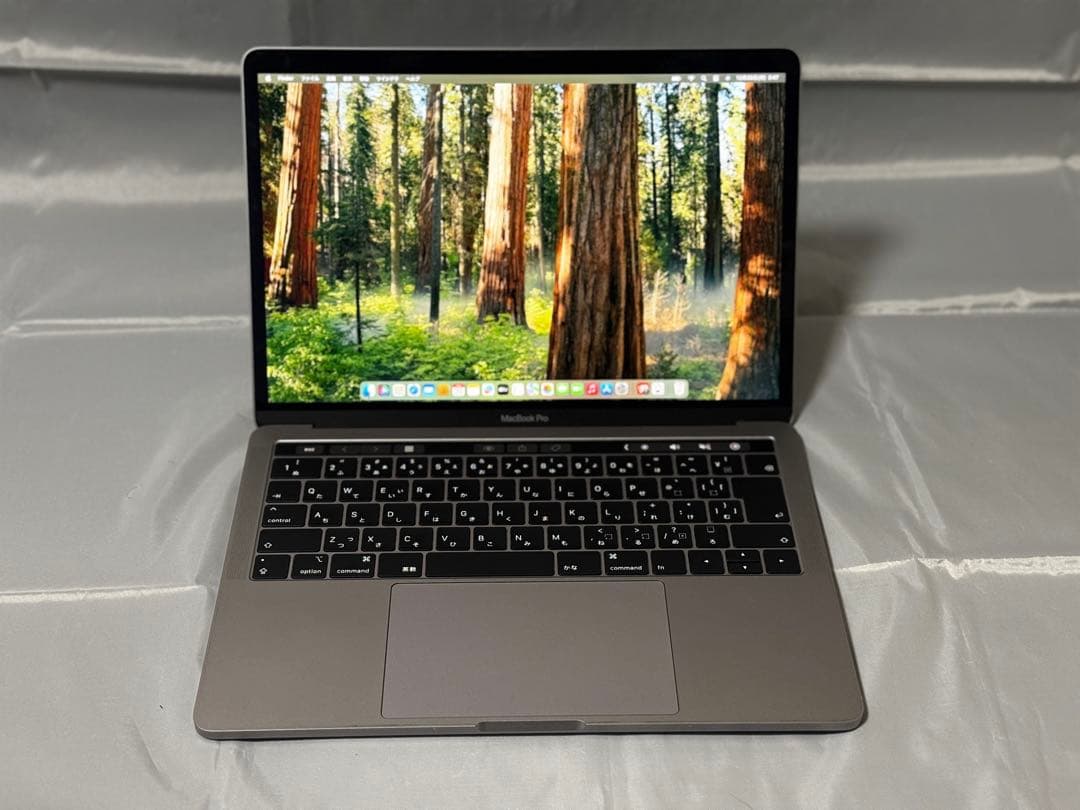 MacBookPro 13インチ(2019)Core i5/8GB/128GB MacBook Pro (13-inch, 2019, Two Thunderbolt 3 ports) - Technical