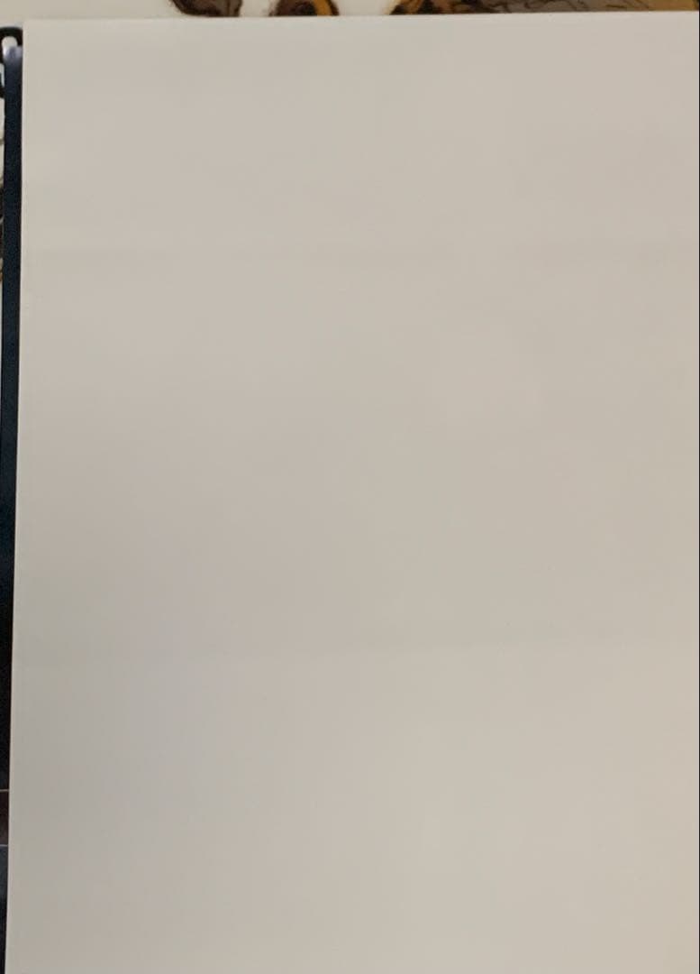 B2・折れ跡あり】 キングダムハーツ チェインオブメモリーズ 販促