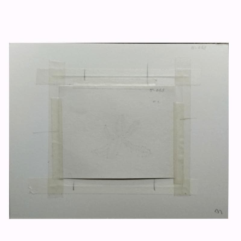 ☆坂本直行☆「 かしわの新葉 」ペン画　インチ　未使用！