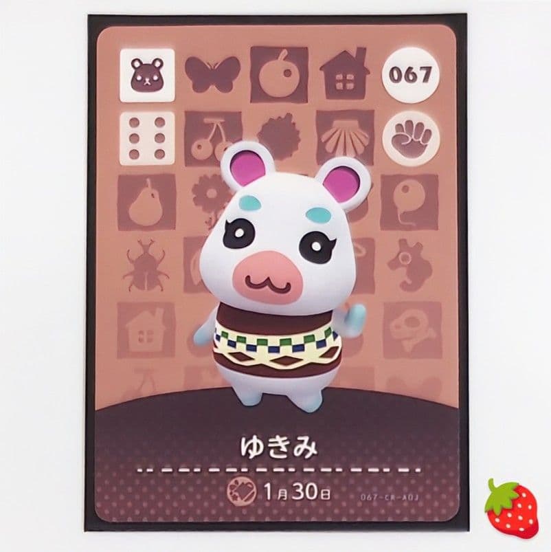 amiiboカードどうぶつの森 やよい・ゆきみ おまとめ品 2枚 - メルカリ