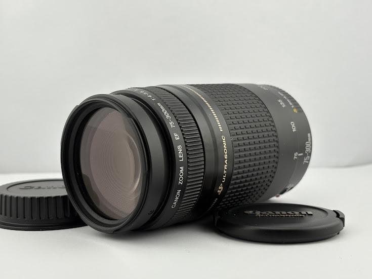 ★美品★キヤノンCANON EF 75-300mm F4-5.6 ii USM RF75-300mm-2__52706.1752008666