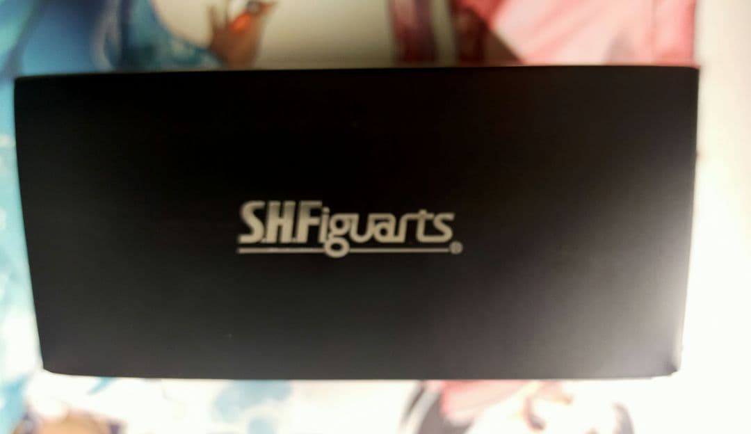 S.H.Figuarts 真骨彫製法 ウルトラマンガイア(V2)