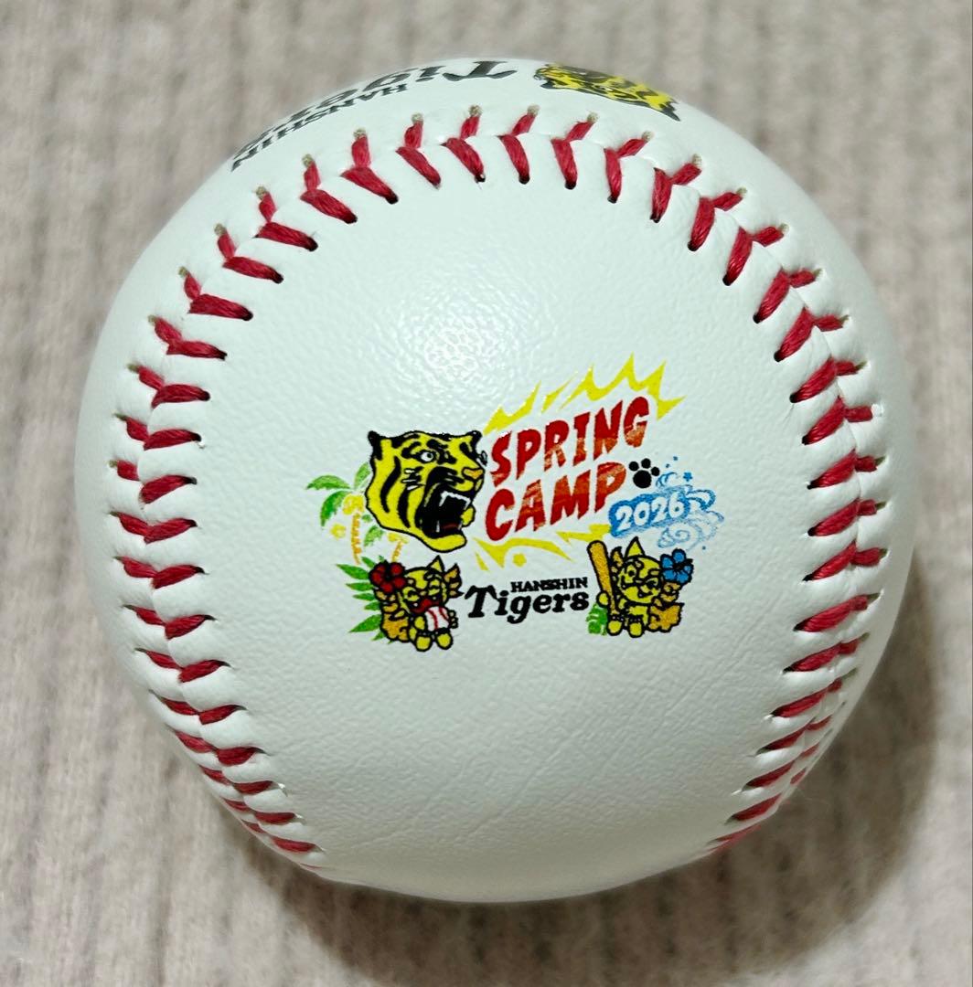 髙橋遥人 阪神タイガース 春季キャンプ 沖縄キャンプ 直筆サインボール