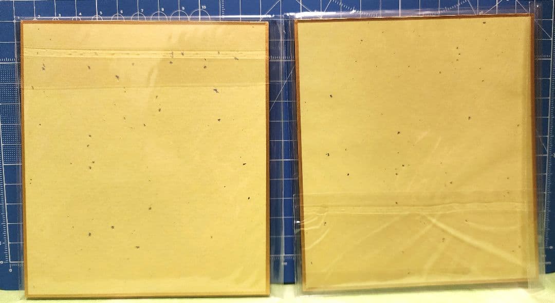 お兄ちゃんはおしまい！　色紙16枚セット