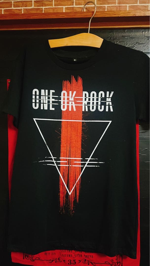 【早い者勝ち】oneokrock セット 渚園 ワンオク