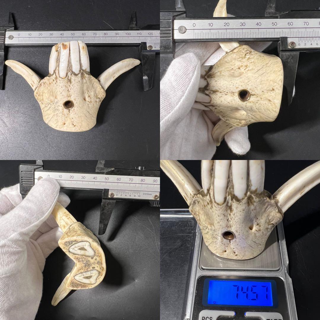 ◎古道具 庵々◎江戸-明治期 獣牙根付□提げ物山伏猟師魔除け呪物