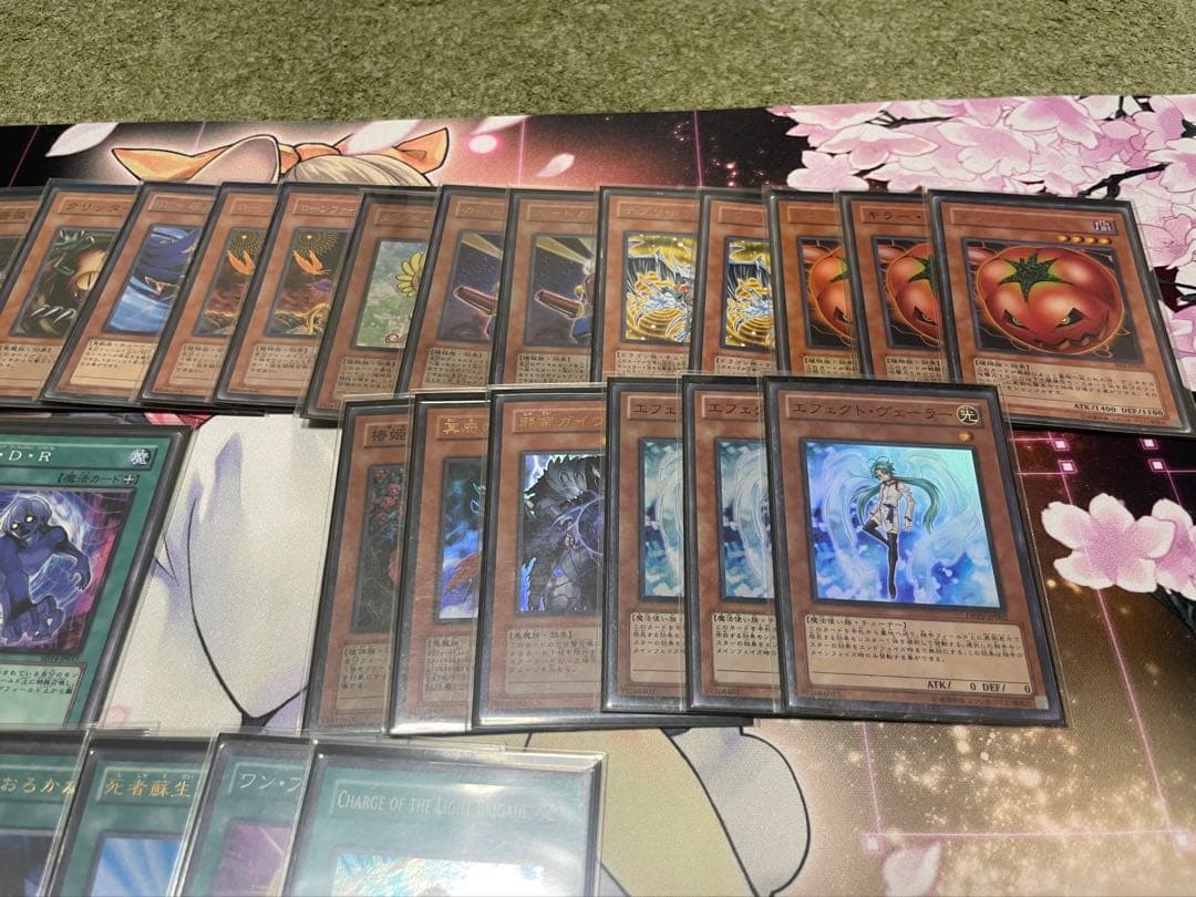 遊戯王　デブリダンディ　2011年　ゲートボール　装備植物