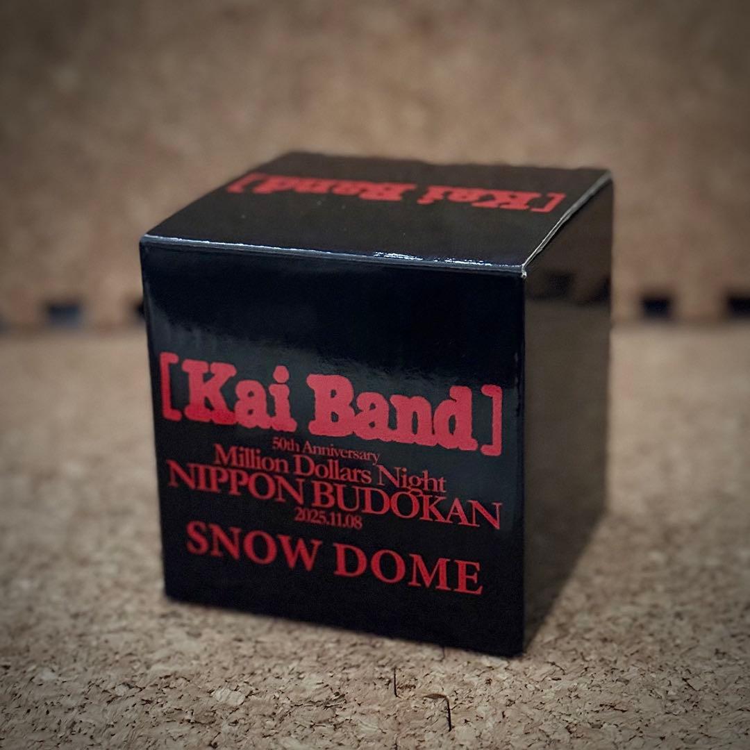 【限定・非売品】甲斐バンド 武道館ライブVIP特典 スノードーム