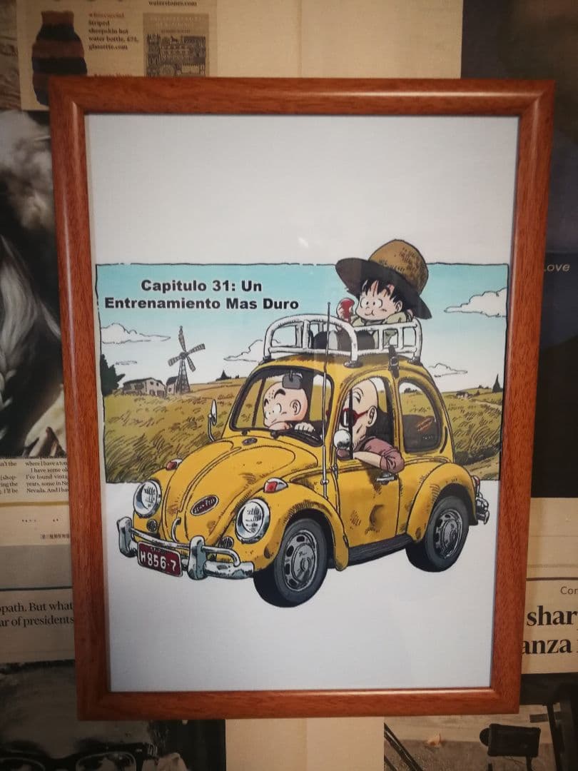 ドラゴンボール 鳥山明 亀仙人 ビートル アートポスター A4 額付き