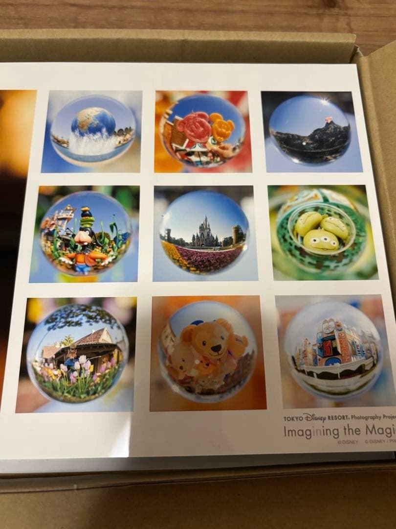 レア　ディズニー　イマジニングザマジック　アート　パネル　魚眼レンズ