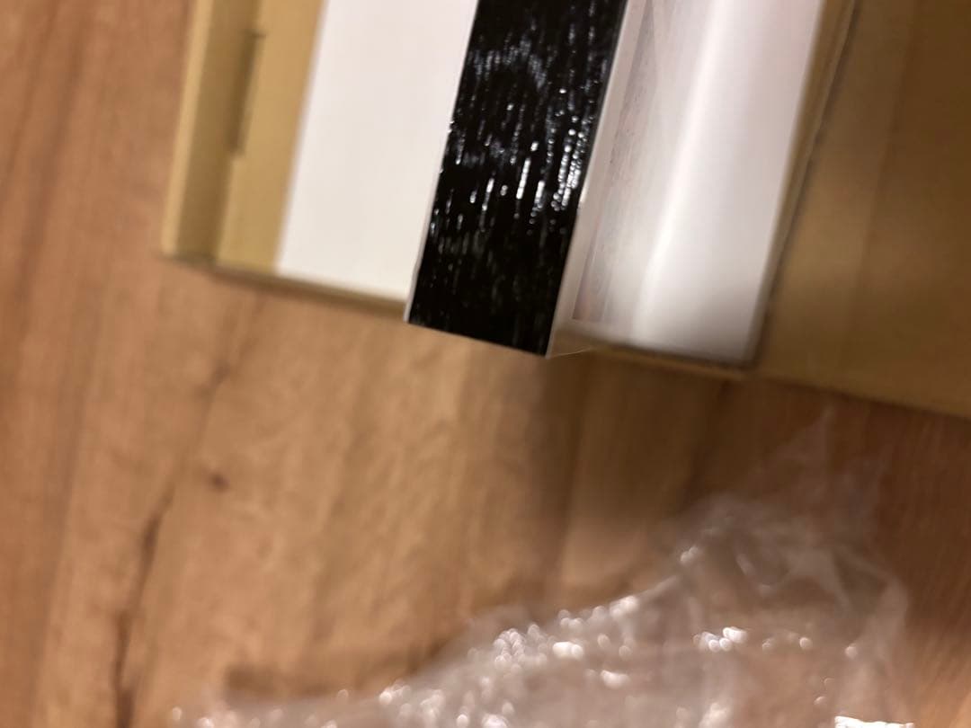 レア　ディズニー　イマジニングザマジック　アート　パネル　魚眼レンズ