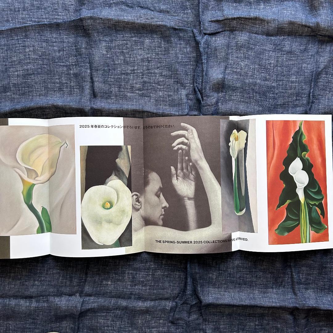 08~25 COMME des GARCONS DM No.1／18冊セット - メルカリ