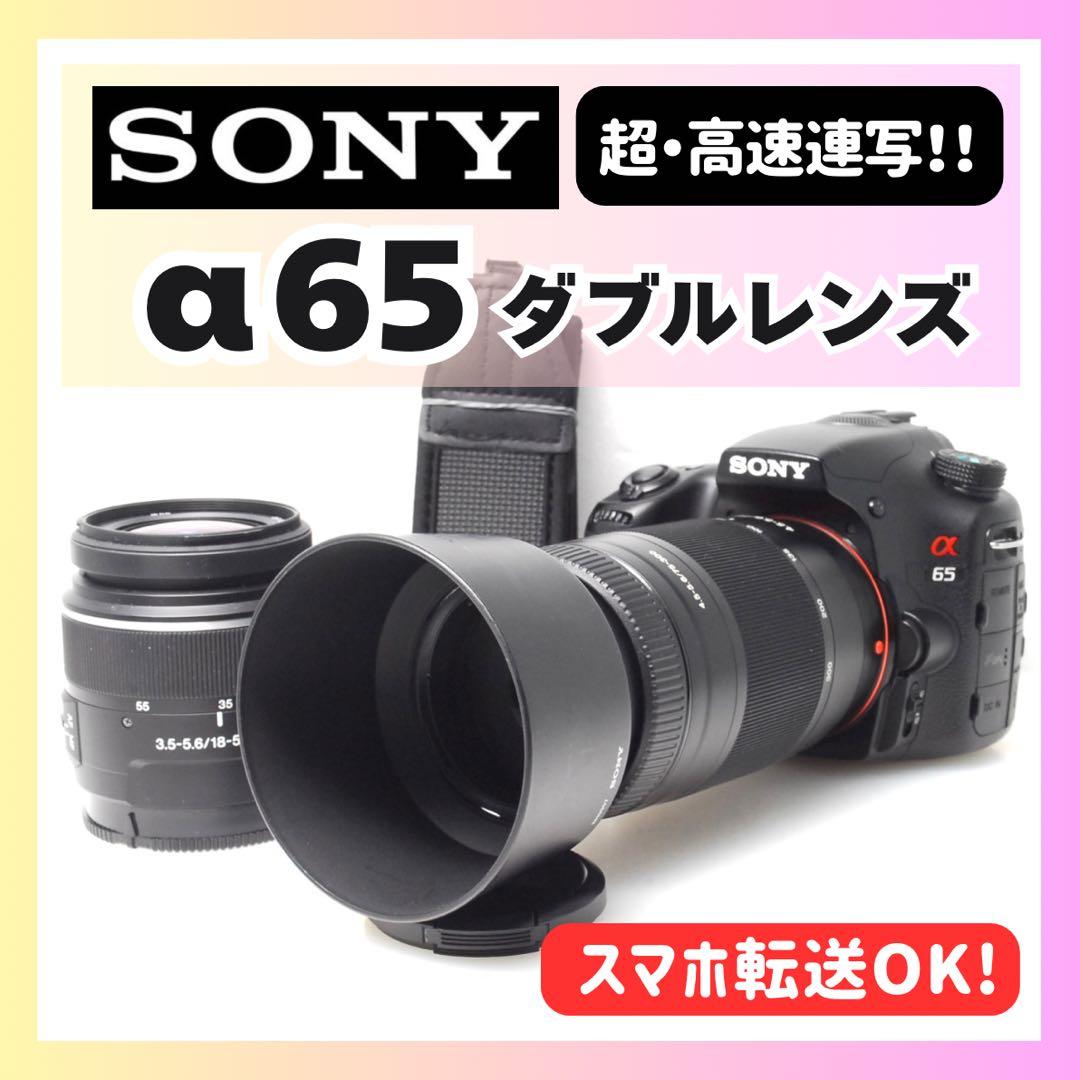 ✨1秒10コマの高速連射✨SONY α65✨ダブルレンズ✨超望遠✨超高画質✨ ✨1秒10コマの高速連射✨SONY α65✨ダブルレンズ✨超