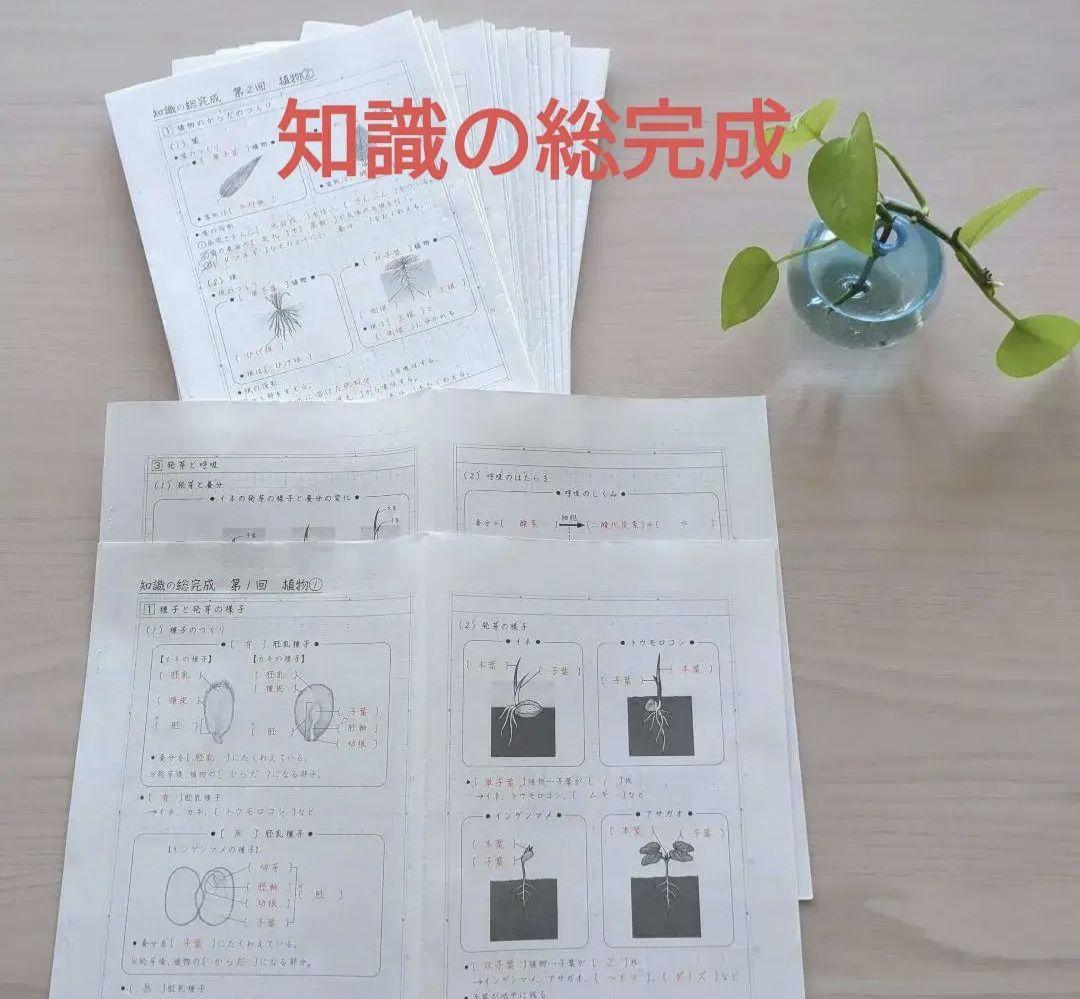 sapix 6年 理科 ウィークリーサピックス 知識の総完成 記述の総復習