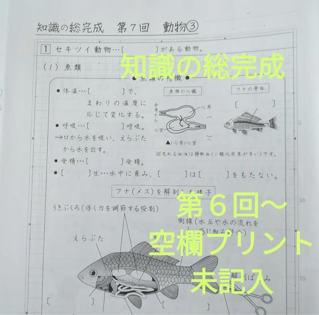 sapix 6年 理科 ウィークリーサピックス 知識の総完成 記述の総復習