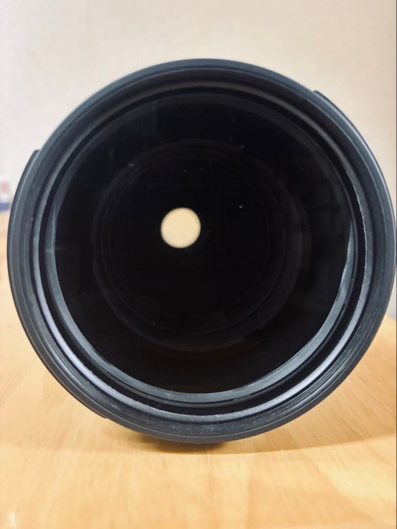 Tamron SP 150-600mm F/5-6.3 G2 テレコン付き