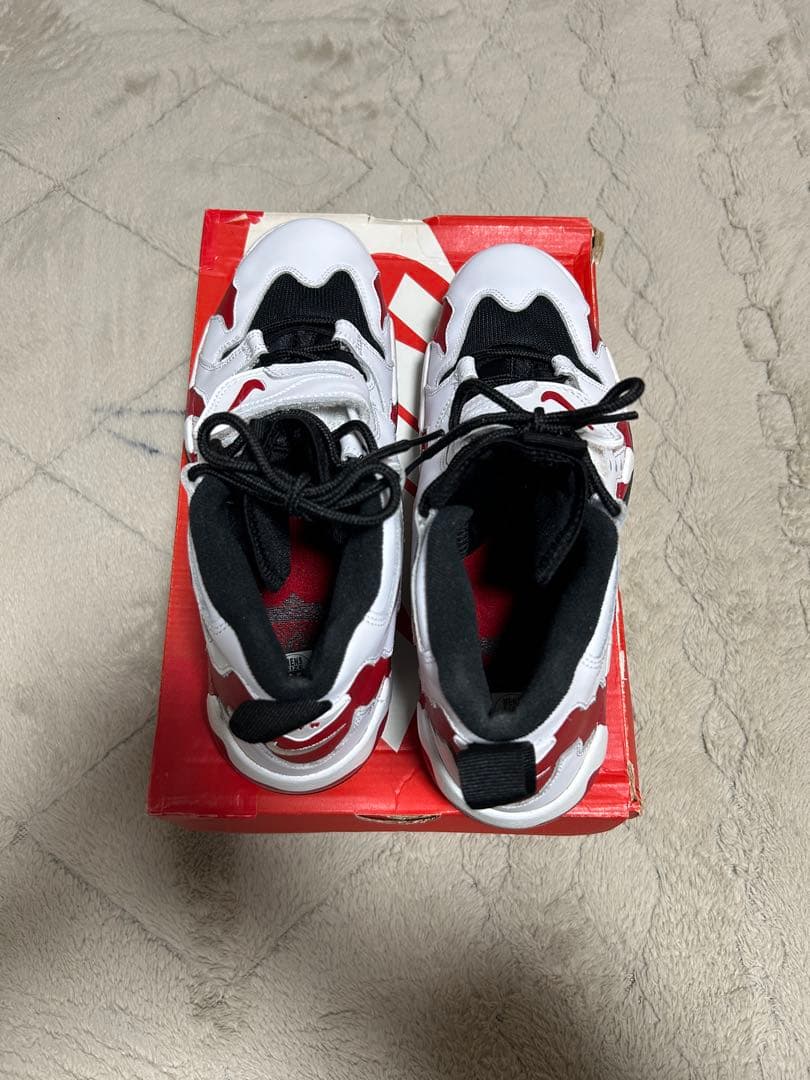 【美品】NIKE AIR DT MAX 96 27.5cm 古着