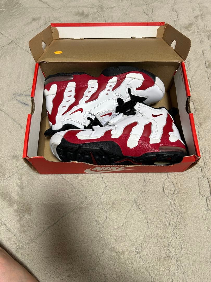 【美品】NIKE AIR DT MAX 96 27.5cm 古着