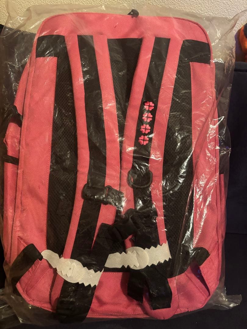 ももクロ×チャムス　ポシュレ　アルティメットリュック　ピンク