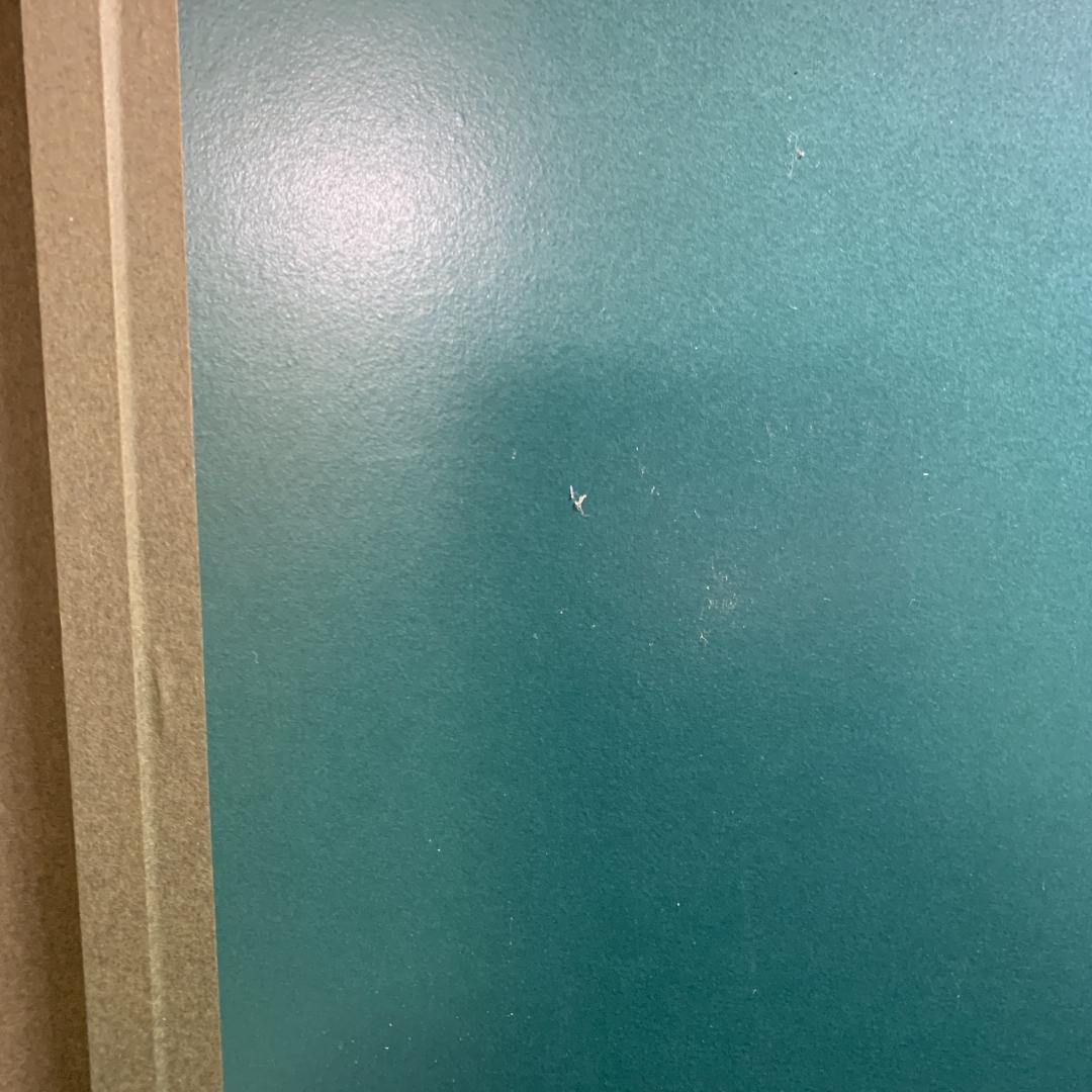 ルノワール 若い娘の肖像 油絵直筆仕上げ ゴールド額縁 複製画 - メルカリ