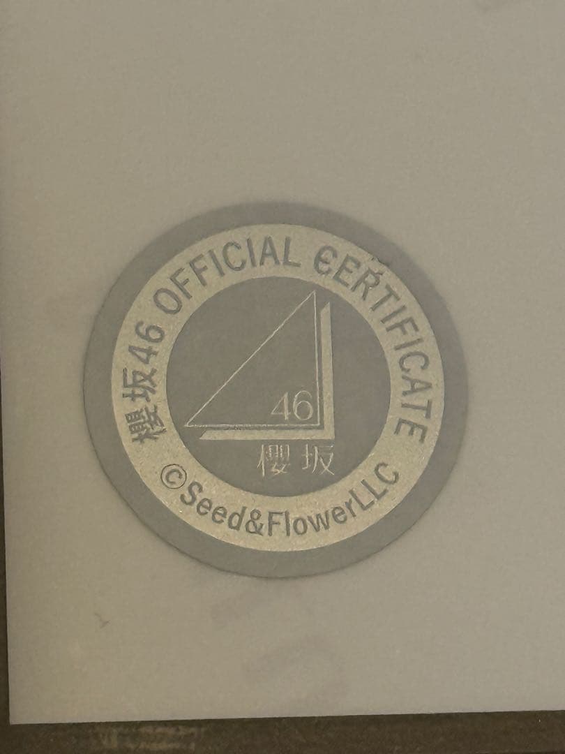 櫻坂46 石森璃花　2025サンタ衣装　ヒキ　直筆サイン　生写真