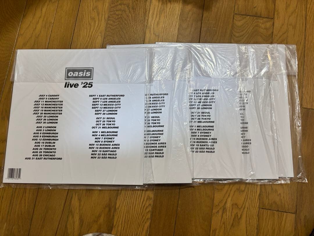 OASIS ツアーパンフレット 2025 東京ドーム オアシス