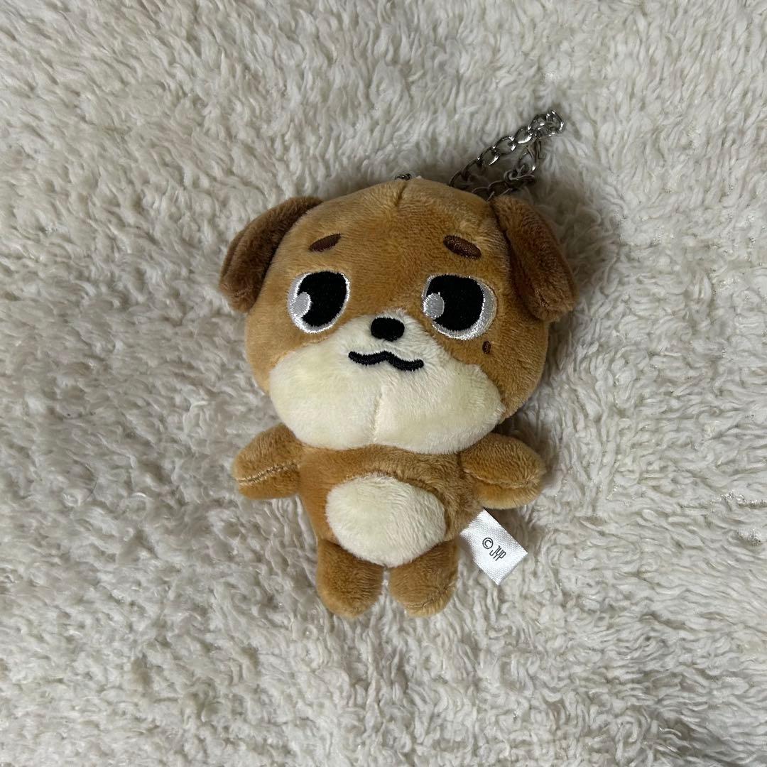 美品】NEXZ LIVE TOUR 2025 トレカケース ヒュイ ヒュロミ