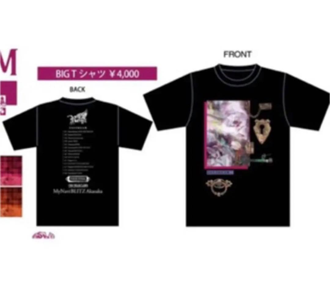 匿名配送❣️己龍　Royz コドモドラゴン Tシャツ　タオル