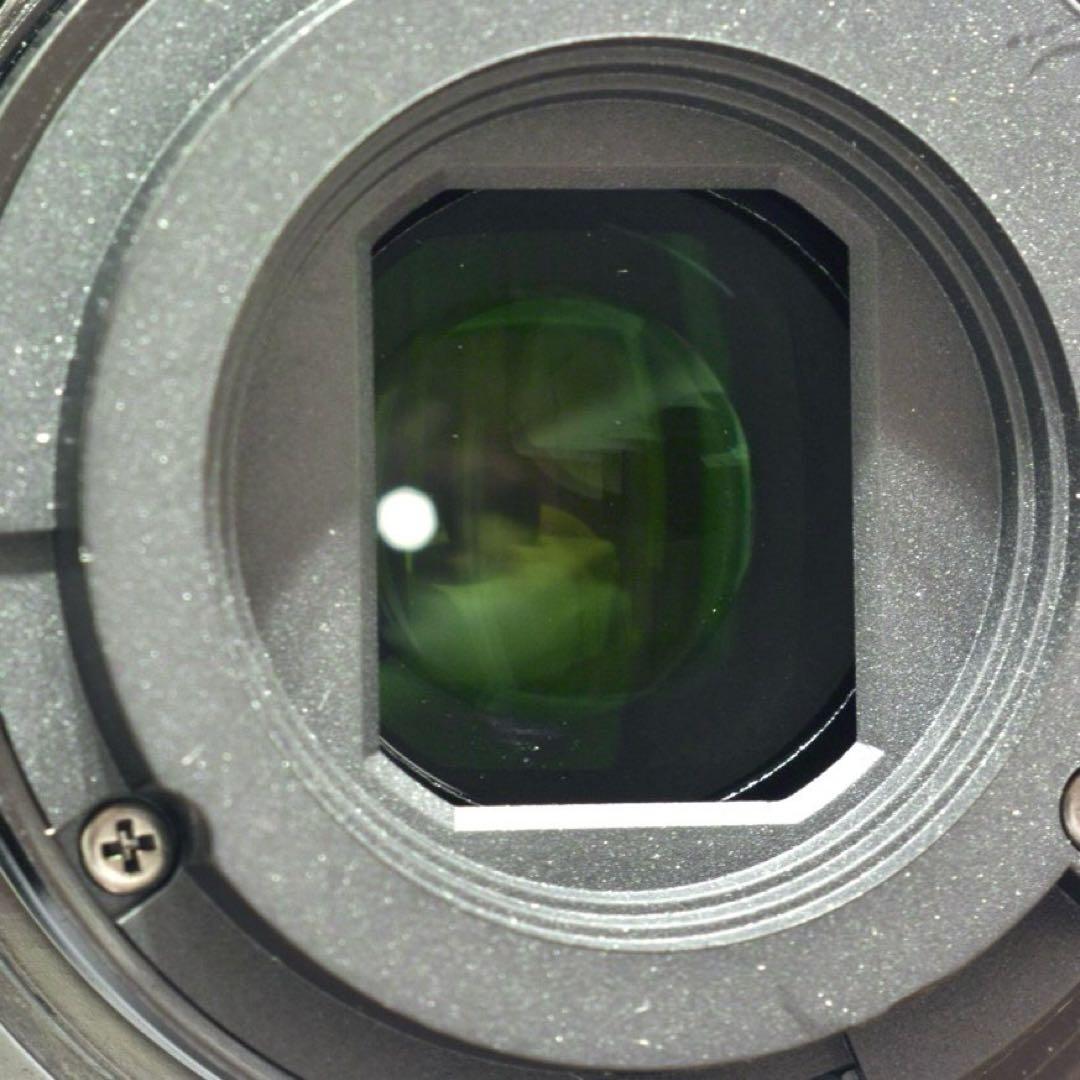 レンズ(ズーム) Nikon AF-P DX NIKKOR 70-300mm F4.5-6.3