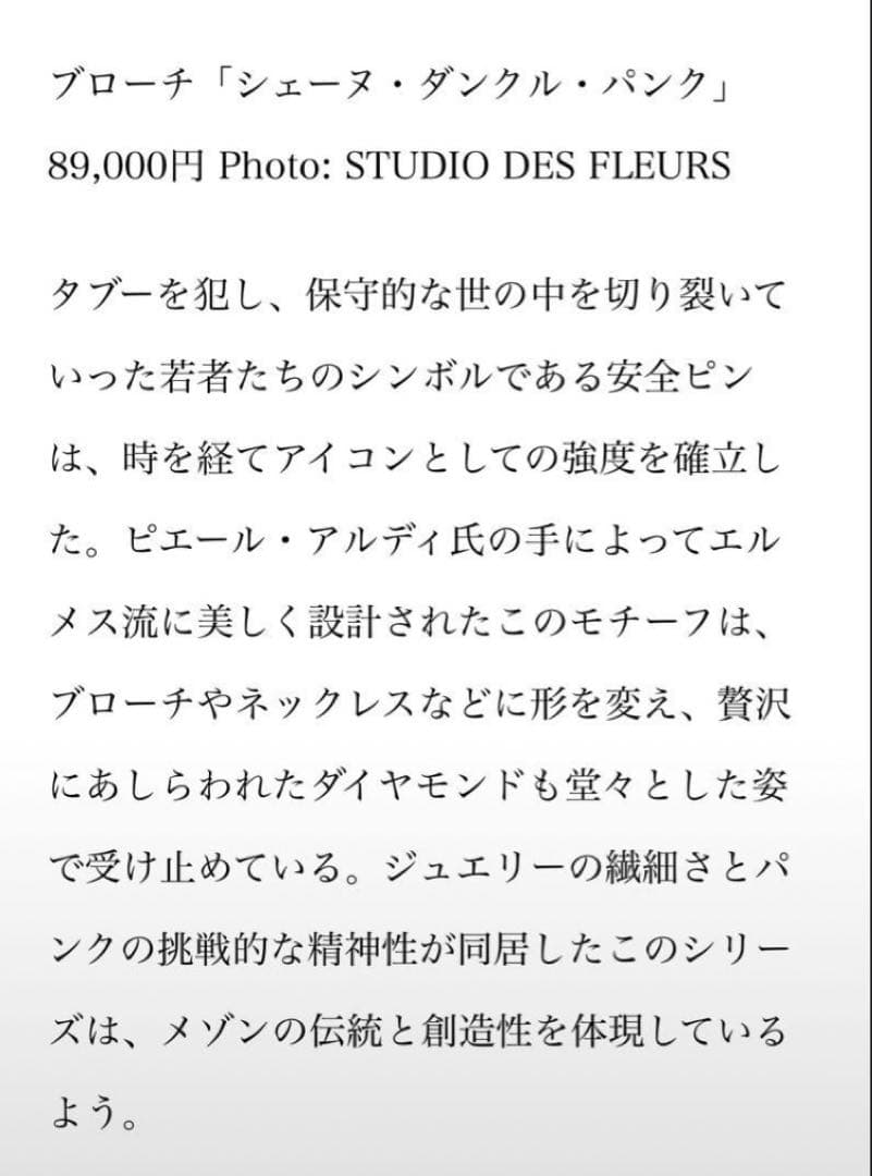 HERMES エルメス シェーヌダンクル パンク ブローチ 藤原ヒロシ 安全