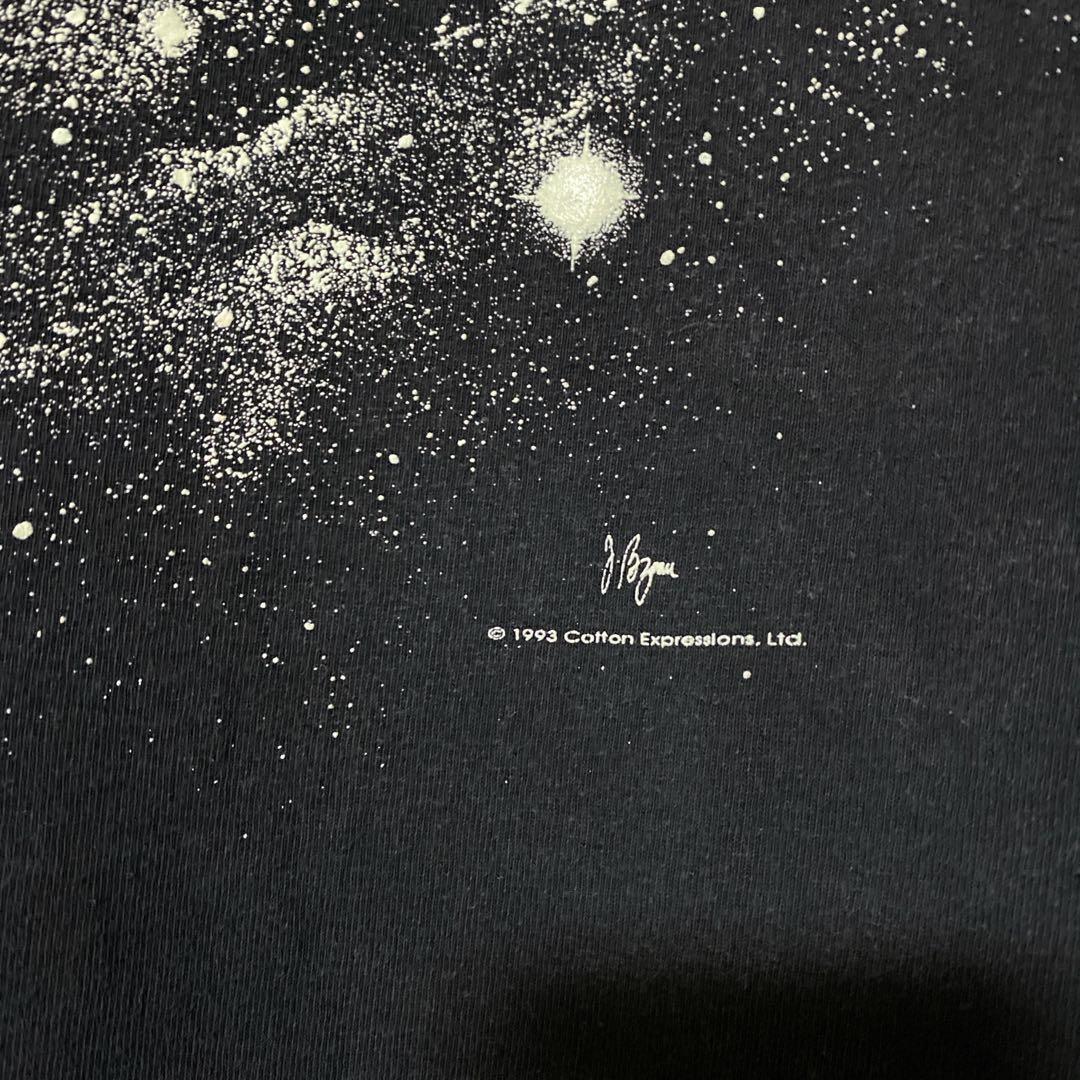 90s アインシュタイン Tシャツ ビンテージ 偉人 アート XL スーベニア