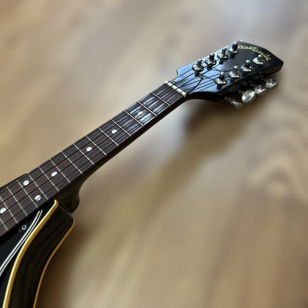 jumbo フラットマンドリン ソフトケース付き ウクレレ - メルカリ