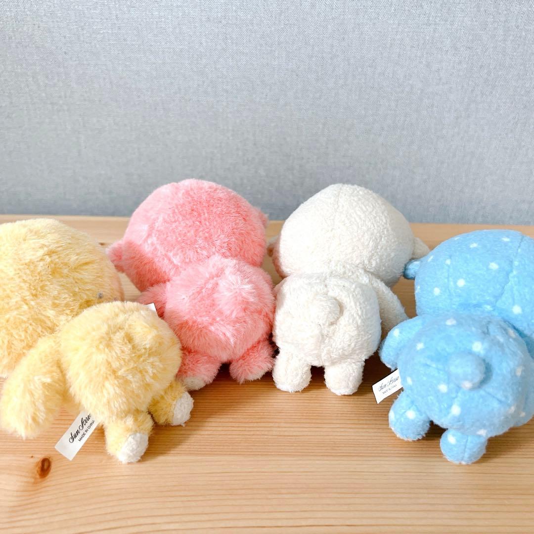 おすわりくまちゃん 絵本 ぬいぐるみ