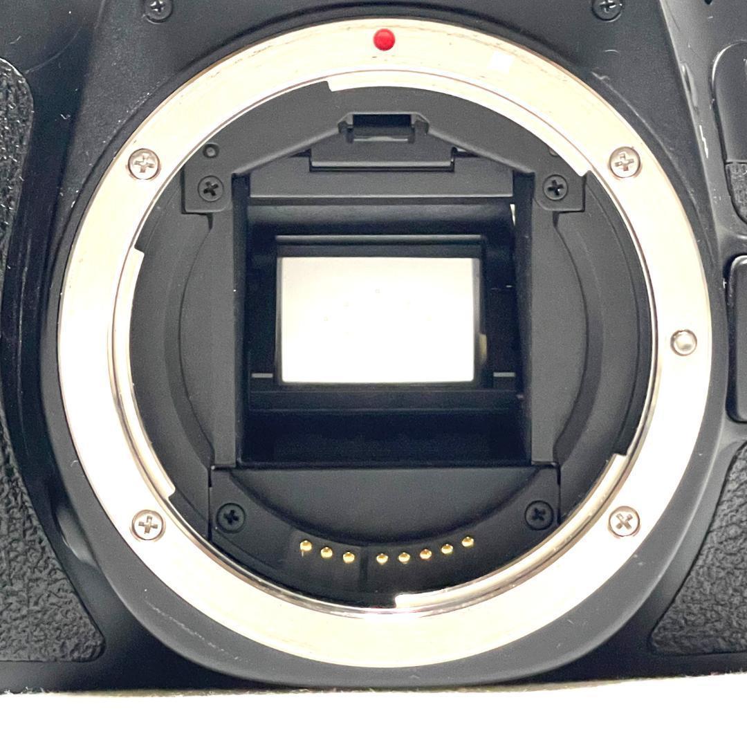 表現力を高めたい人へ❣️ Canon EOS 60D 超望遠ダブルレンズセット