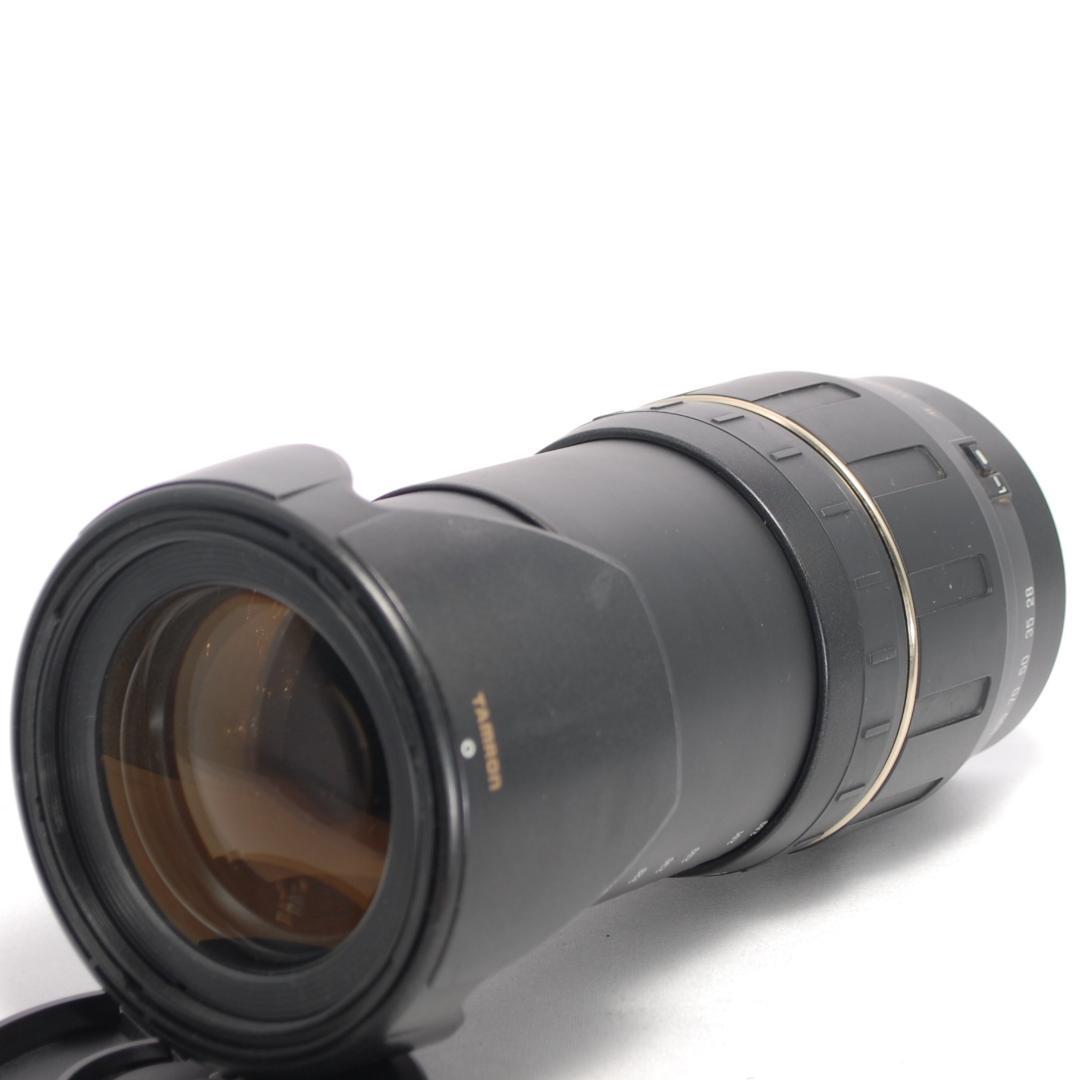 ⭐️広角～望遠まで⭐️TAMRON 28-300mm F3.5-6.3 マクロ