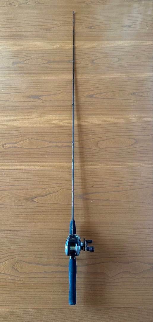 バスロッド　TEAM DAIWA Yahoo!オークション -「チームダイワ」(バス用) (ルアーロッド)の落札