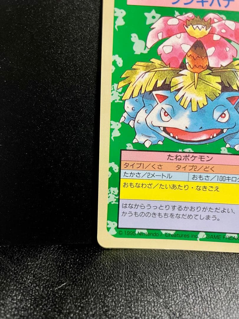 美品】ポケモンカード トップサン フシギバナ 初期 【裏青】 - メルカリ