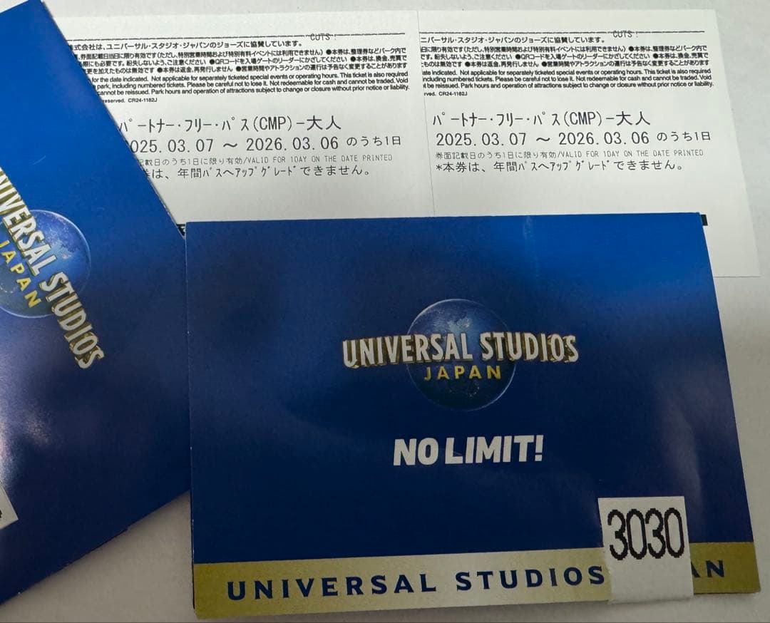 ユニバーサルスタジオジャパン 入場券 大人2枚 ペア USJチケット