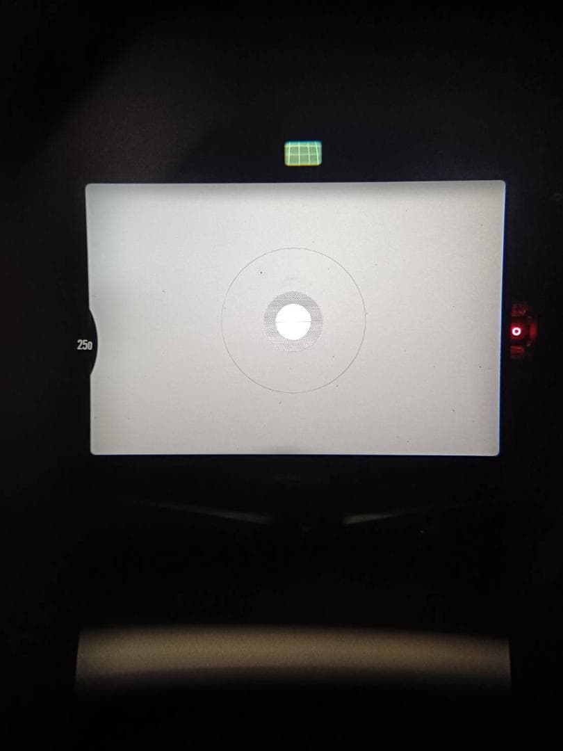 超美品 ニコン New FM2 シルバー フィルム モルト新品交換済 M446